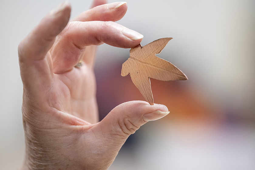 Course Featured Item